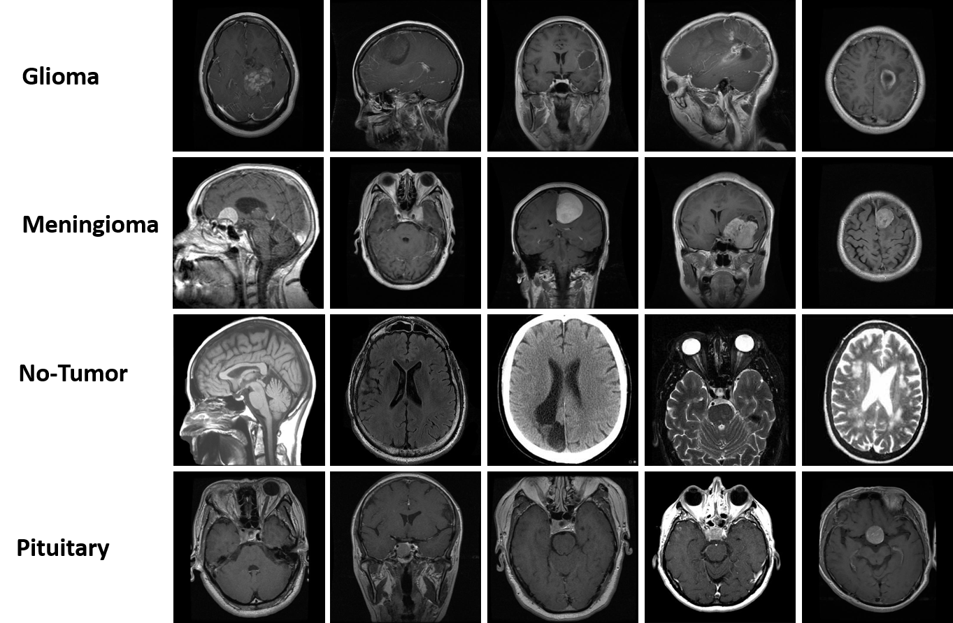 Selected Projects Tannaz Mostafid